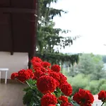 Erika Apartmanhazak * Hévíz