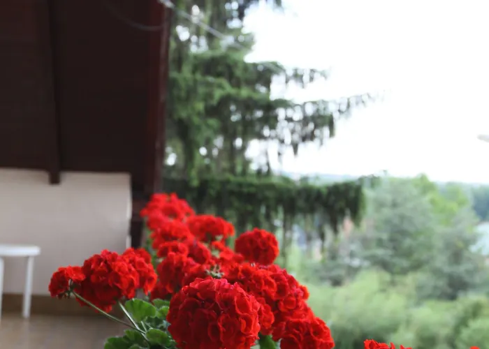 Erika Apartmanhazak * Хевиз